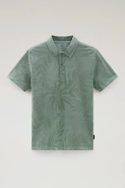 Polo><noscript><img width=